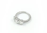 Anillo Sangiorgi Preziosi Mujer in Oro blanco Diamante 2.25 Ct Z5536 - Z5536
